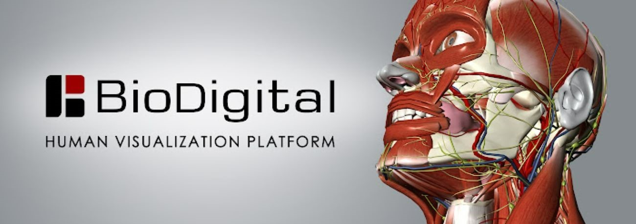 Accesso alla risorsa BioDigital Human